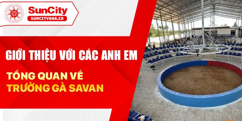 Giới thiệu với các anh em tổng quan về trường gà Savan